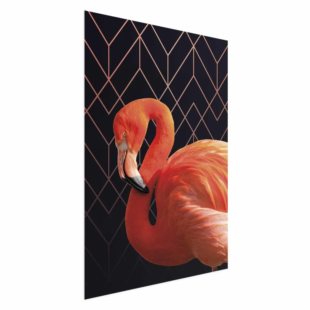 Plakat - Flamingo Solo 21x30 Bez okvira