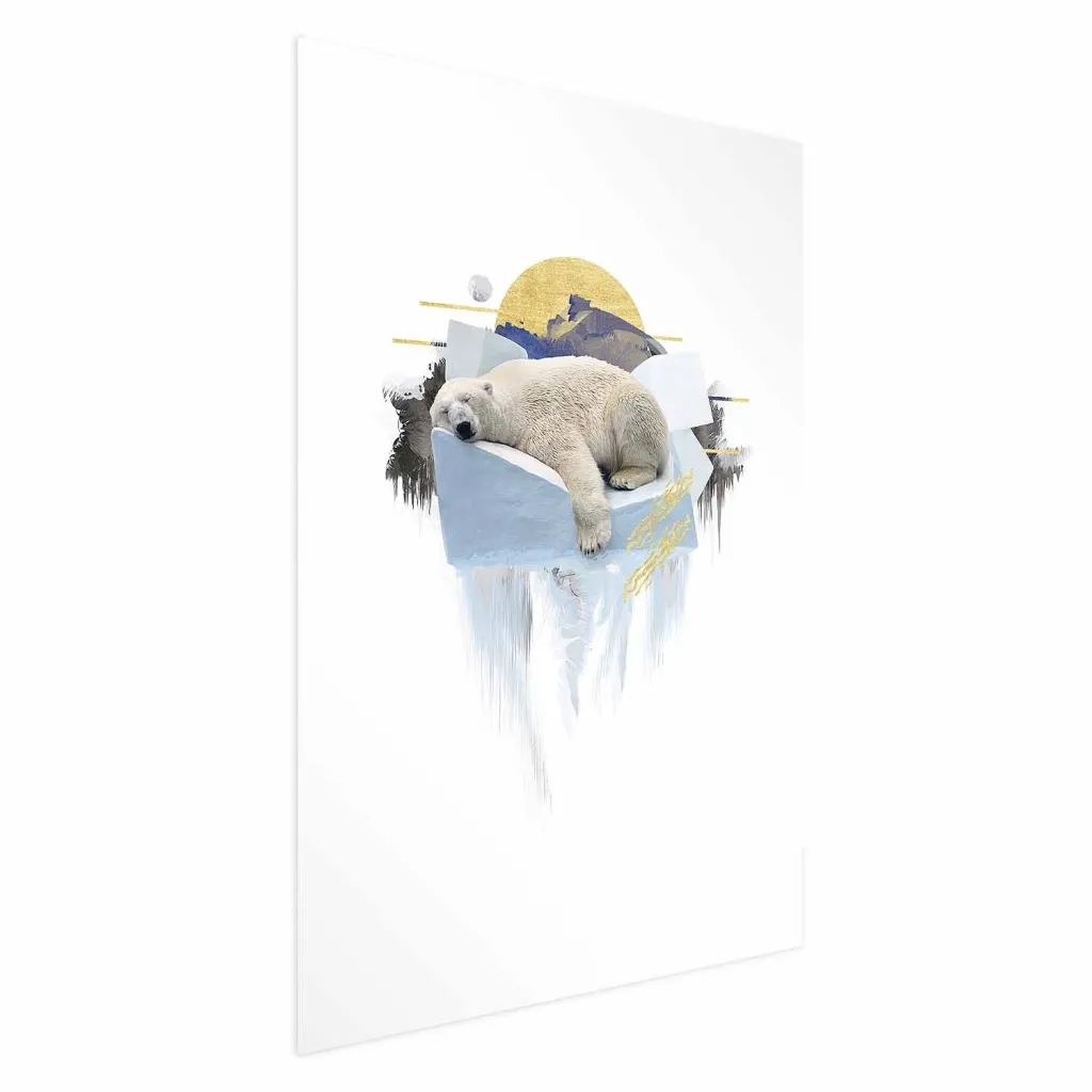 Plakat - Polar Bear 21x30 Bez okvira s margom