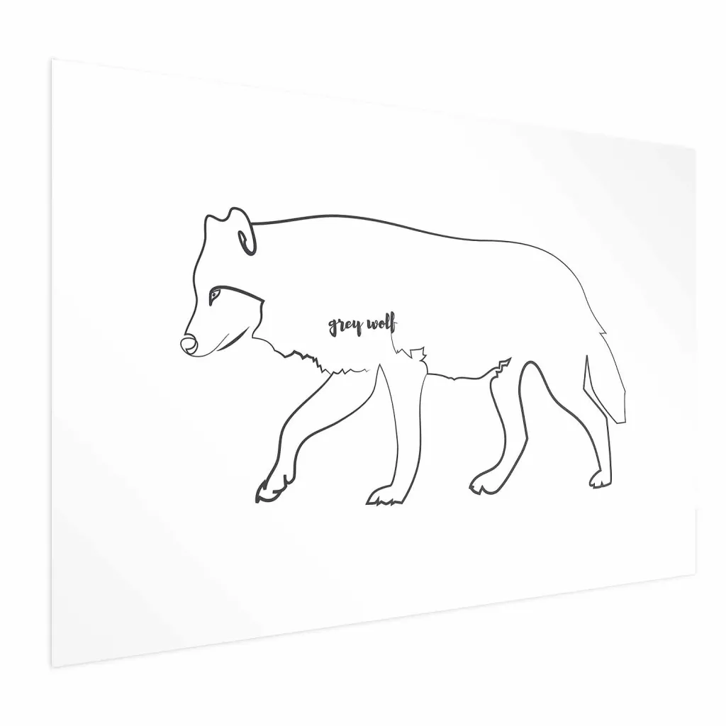 Plakat - Wolf 30x21 Bez okvira