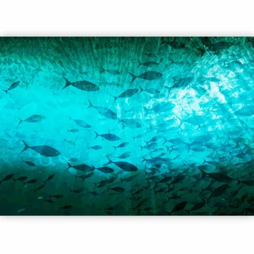 Foto tapeta - A shoal of dark fish 150x105 Premium Cijena