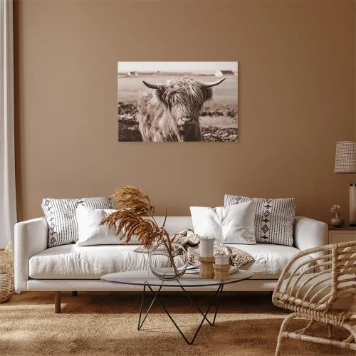 Slika - A Scottish Cow in Sepia 90x60 Akustična Cijena