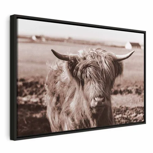 Slika - A Scottish Cow in Sepia 60x40 U crnom drvenom okviru Cijena