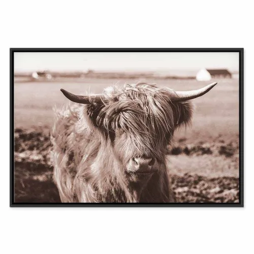 Slika - A Scottish Cow in Sepia 60x40 U crnom drvenom okviru Cijena