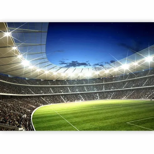 Foto tapeta - Football pitch - illuminated stadium with crowded stands 100x70 Premium Cijena