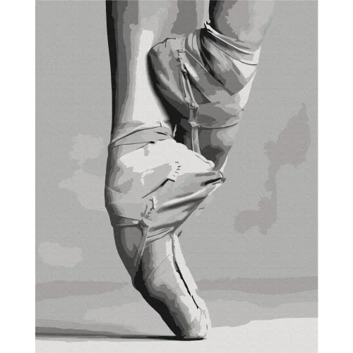Slika za samostalno slikanje - Ballet Shoes 40x50 Cijena