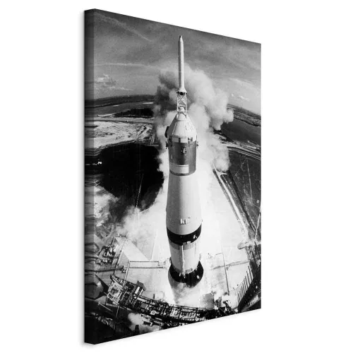 Slika - Cosmic Speed (1 Part) Vertical 20x30 Na talijanskom platnu Cijena