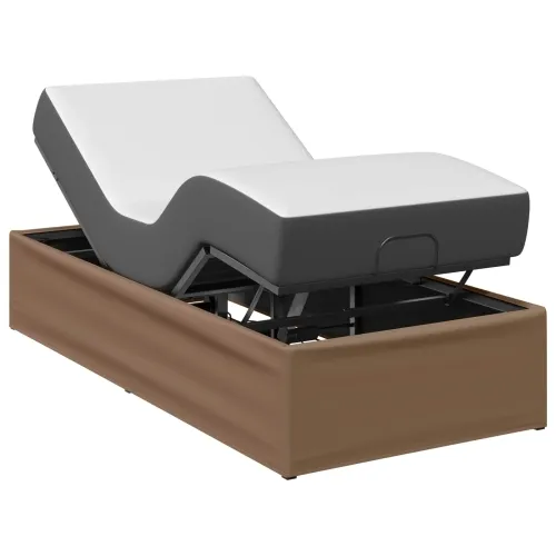 Električni podesivi okvir kreveta Smeđa 200 x 80 x 33,5 cm - Boja cappuccina 80 x 200 cm Cijena