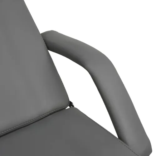 Masažni stol sivi 180 x 62 x (86,5 - 118) cm - Siva Cijena