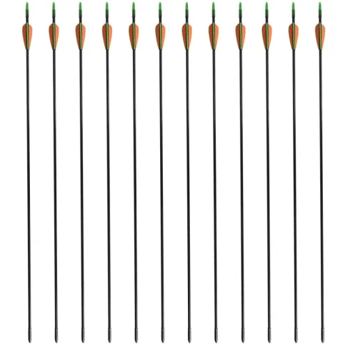 Standardne strijele za zakrivljeni luk 30 ” 0,6 cm 12 kom - 0.6 cm Cijena