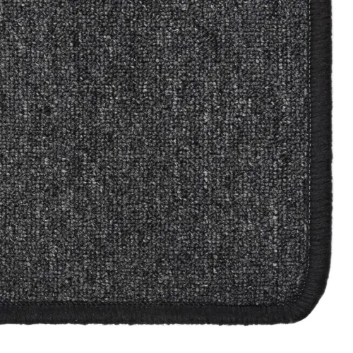 Dugi tepih antracit 80 x 250 cm - Antracit 80 x 250 cm Cijena
