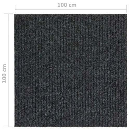 Dugi tepih za hvatanje nečistoće 100 x 100 cm antracit - Antracit 100 x 100 cm Cijena