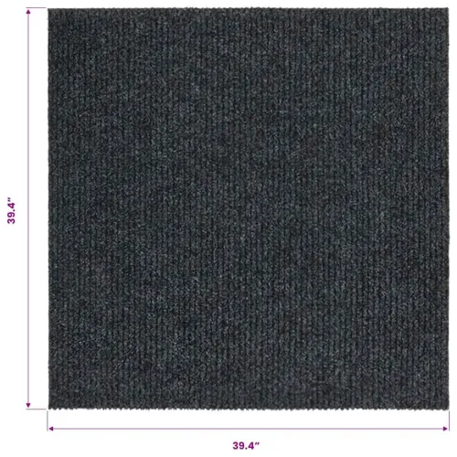 Dugi tepih za hvatanje nečistoće 100 x 100 cm antracit - Antracit 100 x 100 cm Cijena
