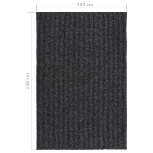 Dugi tepih za hvatanje nečistoće 100 x 150 cm antracit - Antracit 100 x 150 cm Cijena