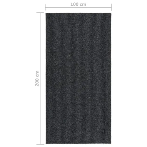 Dugi tepih za hvatanje nečistoće 100 x 200 cm antracit - Antracit 100 x 200 cm Cijena