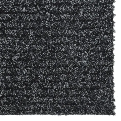 Dugi tepih za hvatanje nečistoće 100 x 200 cm antracit - Antracit 100 x 200 cm Cijena