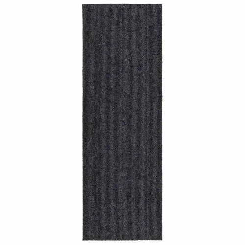 Dugi tepih za hvatanje nečistoće 100 x 300 cm antracit - Antracit 100 x 300 cm Cijena