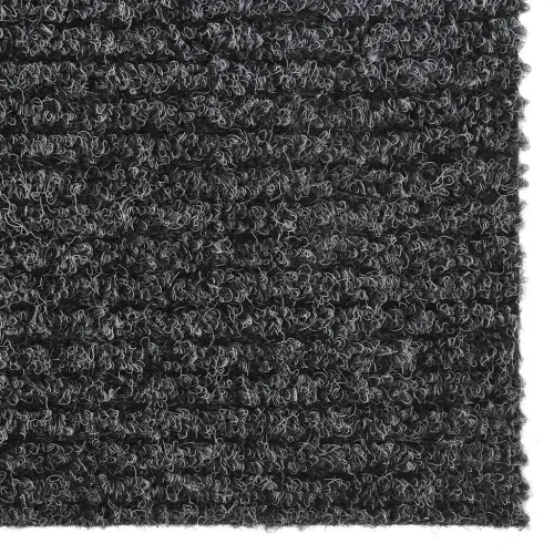 Dugi tepih za hvatanje nečistoće 100 x 400 cm antracit - Antracit 100 x 400 cm Cijena