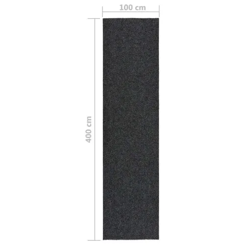 Dugi tepih za hvatanje nečistoće 100 x 400 cm antracit - Antracit 100 x 400 cm Cijena