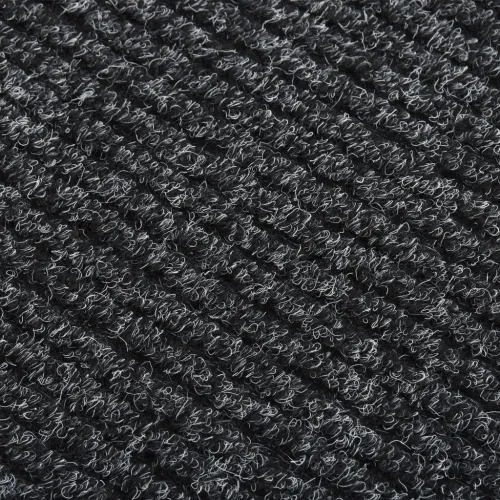 Dugi tepih za hvatanje nečistoće 100 x 450 cm antracit - Antracit 100 x 450 cm Cijena