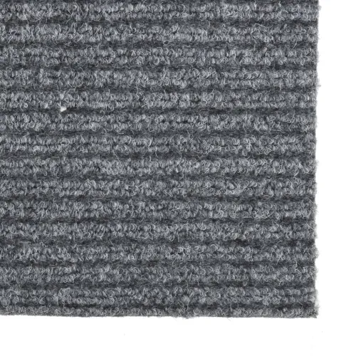 Dugi tepih za hvatanje nečistoće 100 x 200 cm sivi - Siva 100 x 200 cm Cijena