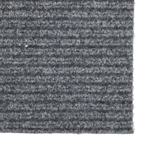 Dugi tepih za hvatanje nečistoće 100 x 350 cm sivi - Siva 100 x 350 cm Cijena