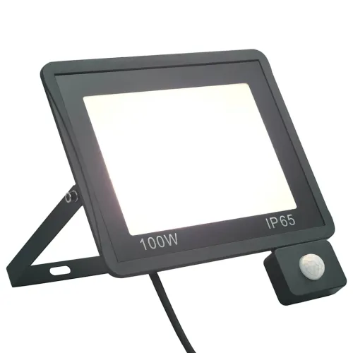 LED reflektor sa senzorom 100 W hladni bijeli - Hladna bijela 1 1 100 w Cijena