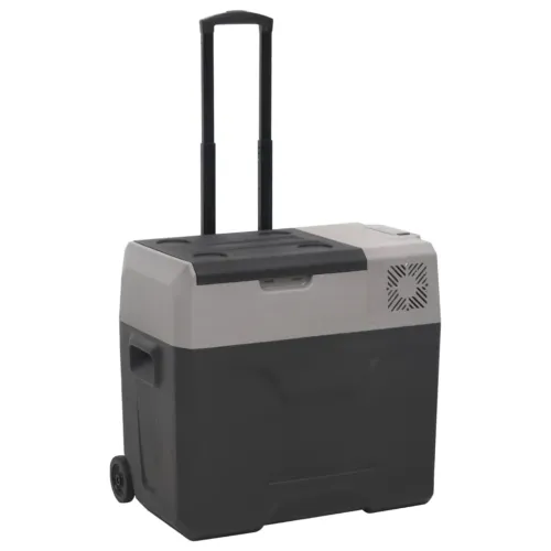 Prijenosni hladnjak s kotačima i ručkom crno-sivi 30 L PP - 30 l bez adaptera 30 l bez adaptera Cijena
