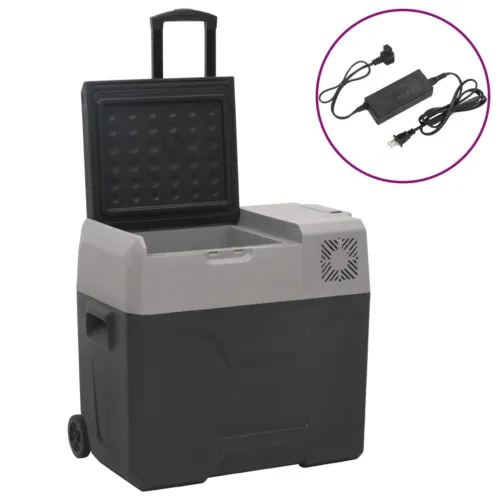 Prijenosni hladnjak s kotačima i adapterom crno-sivi 40 L PP - 40 l s adapterom Cijena