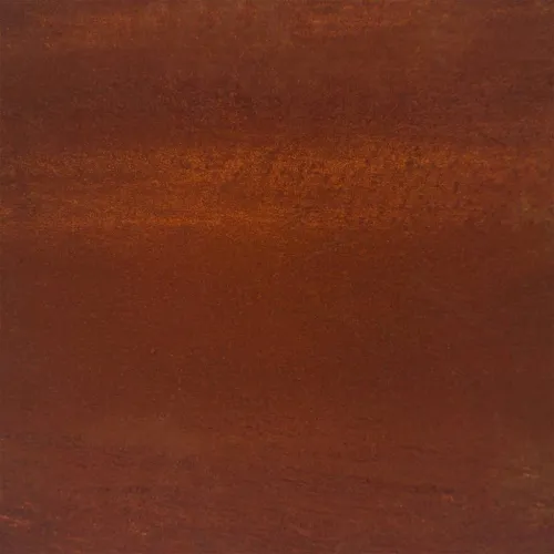 Vrtni zidni ukras 55 x 55 cm čelik COR-TEN s uzorkom trave Cijena