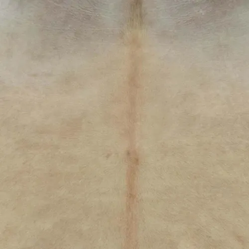 Tepih od prave kravlje kože bež 180 x 220 cm - Bež 180 x 220 cm Cijena