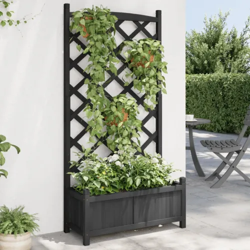 Sadilica s rešetkom crna 75 x 35 x 150 cm od masivne jelovine - Crna 75 x 35 x 150 cm s rešetkom Cijena