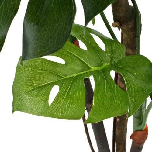 Umjetna biljka monstera s posudom 170 cm zelena - Zelena 170 cm 1 Monstera Cijena