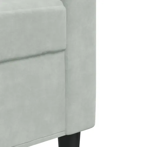 3-dijelni set sofa s jastucima svjetlosivi baršunasti - Svjetlosiva 1 Bez oslonca za noge Cijena