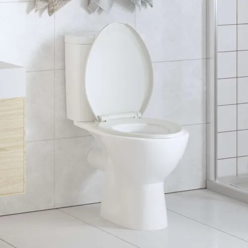Daska za wc - Toaletna daska s mekim zatvaranjem i brzim otpuštanjem bijela - Bijela 47 x 35 cm 1 Bijela Cijena