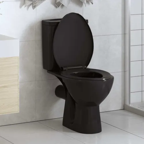 Daska za wc - Toaletna daska s mekim zatvaranjem i brzim otpuštanjem crna - Crna 47 x 35 cm 1 Crna Cijena