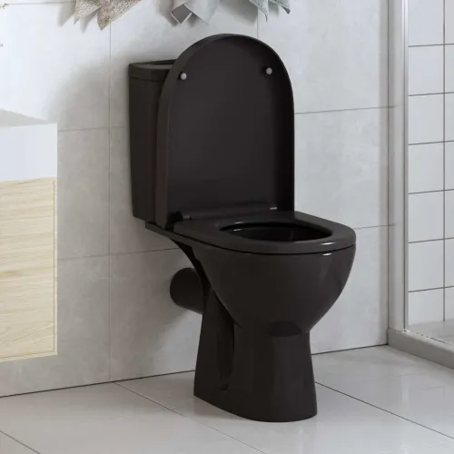 Daska za wc - Toaletna daska s mekim zatvaranjem i brzim otpuštanjem crna - Crna 46 x 36.5 cm(140 - 200 mm) 1 Crna Cijena