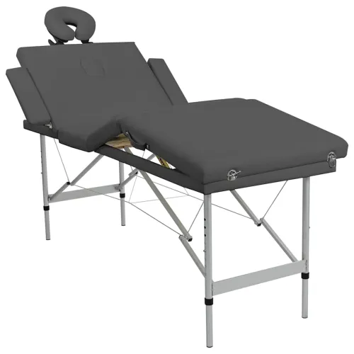 Masažni stol s 4 zone i aluminijskim okvirom antracit 186x68 cm - Antracit Cijena
