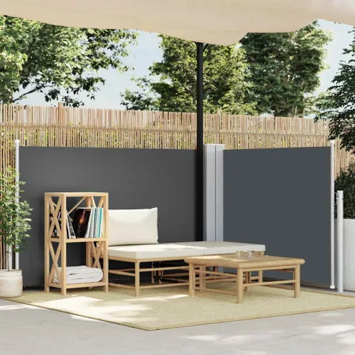  Uvlačiva bočna tenda 120 x 1000 cm antracit - Antracit 117 x 1000 cm 1 Antracit Cijena