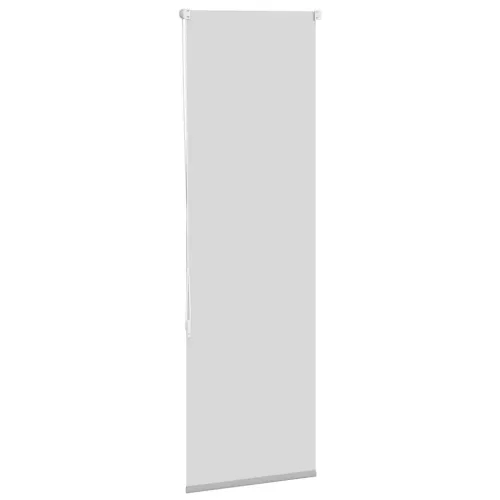 Rolo zavjesa Blackout svijetlo siva 40x150 cm Širina tkanine - Svjetlosiva 40 cm 150 cm Svjetlosiva Cijena