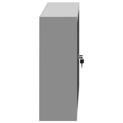 Ormar za alate s policom Crna i Siva 100 x 20 x 55 cm Čelik - Crna Ormar sa 2 vrata Cijena