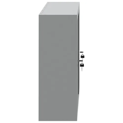Ormar za alate s policom Crna i Siva 100 x 20 x 55 cm Čelik - Crna Ormar s perforiranim pločama (100 cm) Cijena