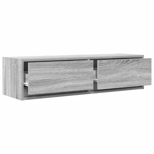 TV ormar 100 x 31 x 25,5 cm Sivi hrast sonoma Konstruirano drvo - Sivi hrast sonoma 100 x 31 x 25,5 cm 1 Cijena