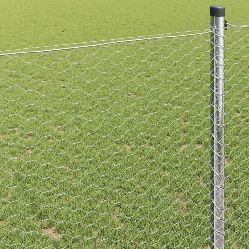 Heksagonalna ograda 0,8 x 10 m Pocinčani čelik Srebrna - 10 x 0,8 m 25 mm Pocinčani čelik Cijena