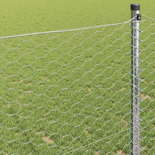 Heksagonalna ograda 0,8 x 25 m Pocinčani čelik Srebrna - 25 x 0,8 m 36 mm Pocinčani čelik Cijena