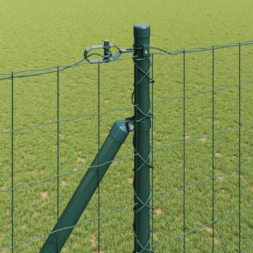 Euro ograda s špicama 10 x 1,6 m Čelik premazan PVC-om Zelena - 10 x 1,6 m (75 x 100 mm mreža) Zelena Vijak sidro fiksacija Cijena