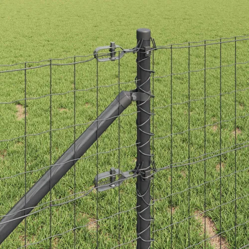 Euro ograda s špicama 50 x 0,6 m Čelik premazan PVC-om Siva - 50 x 0,6 m (mreža 50 x 75 mm) Siva Vijak sidro fiksacija Cijena