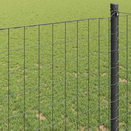 Euro ograda 1,2 x 25 m Željezo prekriveno PVC-om Siva - Siva 25 x 1,2 m 50 x 75 mm Cijena