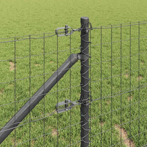 Euro ograda s špicama 25 x 0,8 m Čelik premazan PVC-om Siva - 25 x 0,8 m (mreža 50 x 100 mm) Siva Vijak sidro fiksacija Cijena