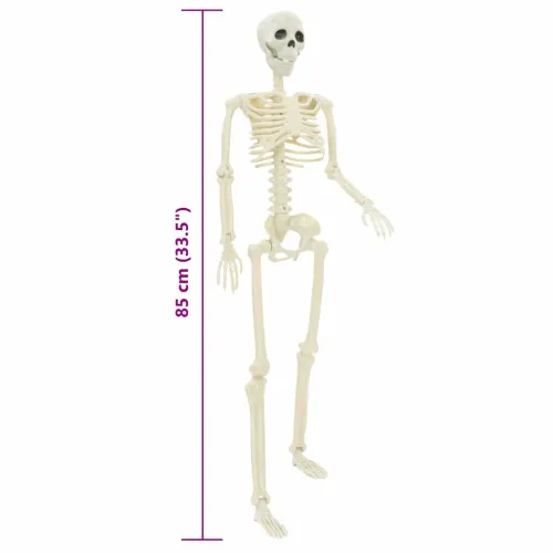 Halloween Skelet 2 kom. Bijelo 85 cm PVC Cijena