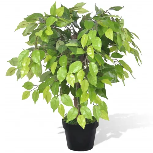 Umjetno patuljasto stablo fikusa s teglom 60 cm - 60 cm Cijena